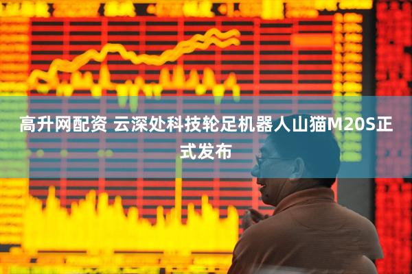高升网配资 云深处科技轮足机器人山猫M20S正式发布